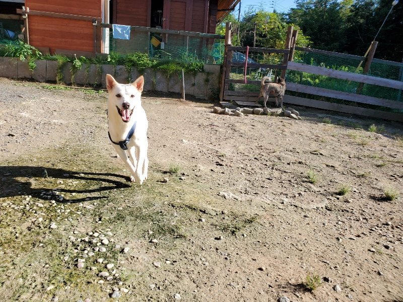f:id:roukenhome-ann:20190909182919j:plain