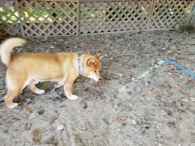 f:id:roukenhome-ann:20190909183107j:plain