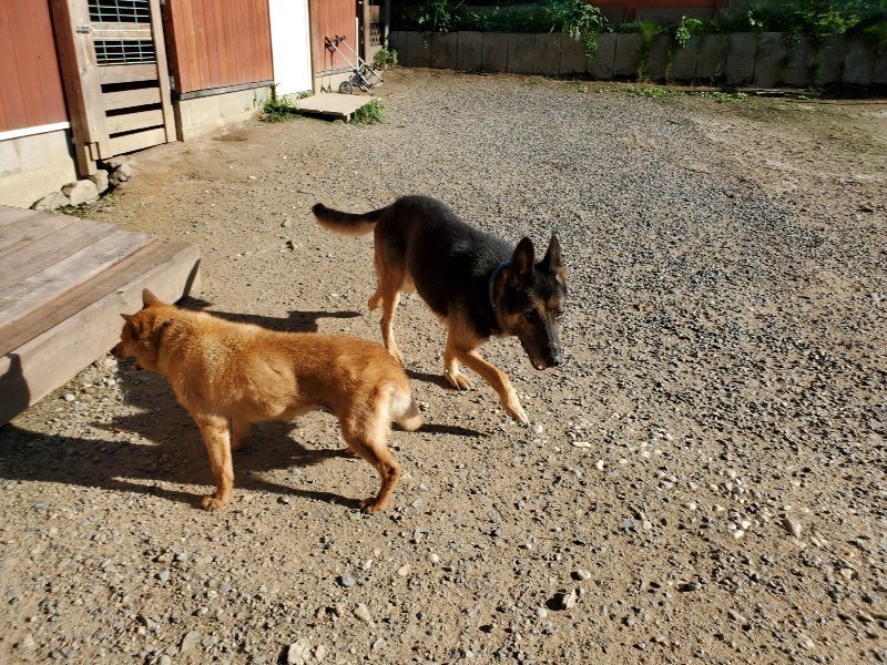 f:id:roukenhome-ann:20190909183114j:plain