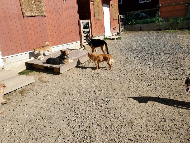 f:id:roukenhome-ann:20190909183133j:plain
