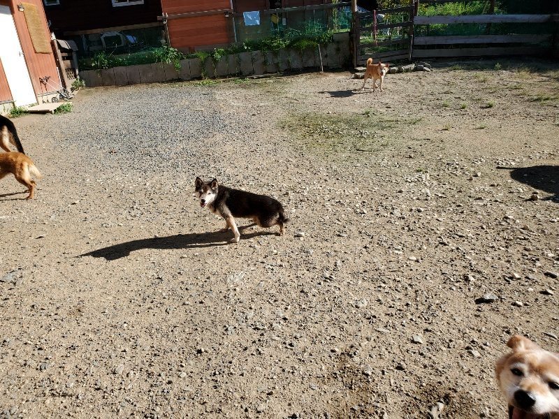 f:id:roukenhome-ann:20190909183140j:plain