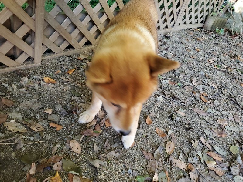 f:id:roukenhome-ann:20190909183234j:plain