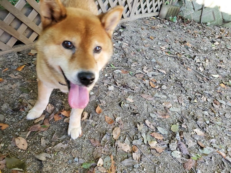 f:id:roukenhome-ann:20190909183247j:plain
