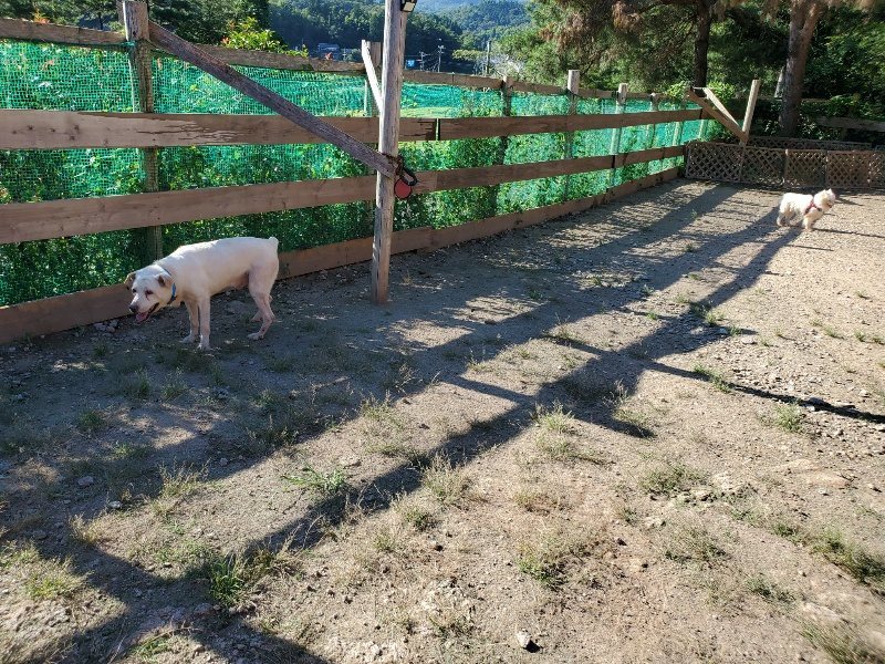 f:id:roukenhome-ann:20190909183402j:plain
