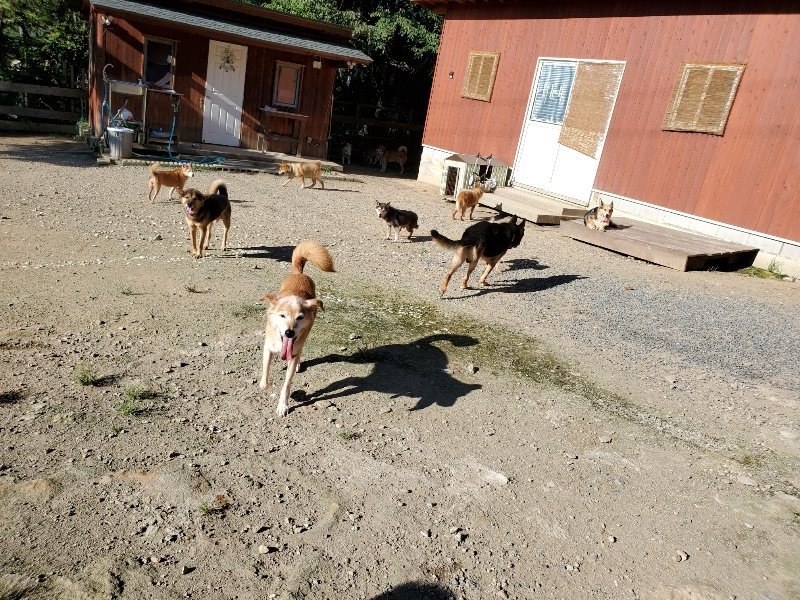 f:id:roukenhome-ann:20190909183413j:plain