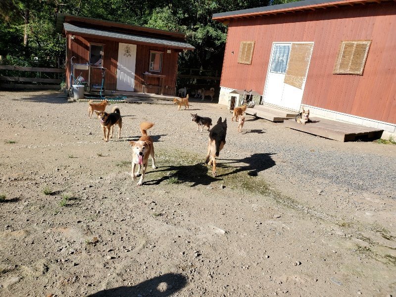 f:id:roukenhome-ann:20190909183427j:plain