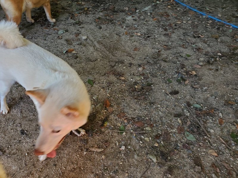f:id:roukenhome-ann:20190909183433j:plain