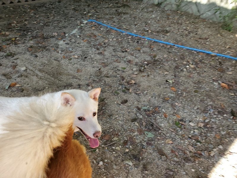f:id:roukenhome-ann:20190909183446j:plain
