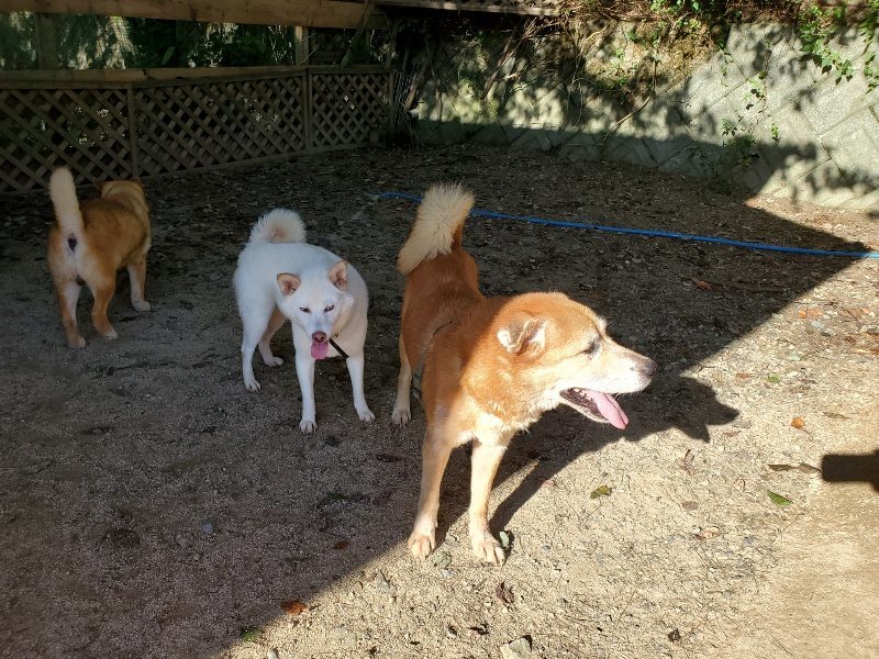 f:id:roukenhome-ann:20190909183505j:plain