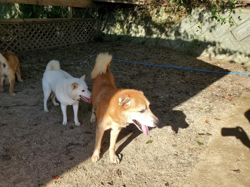 f:id:roukenhome-ann:20190909183516j:plain