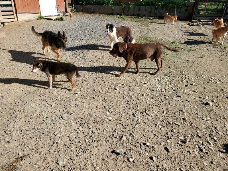 f:id:roukenhome-ann:20190909183742j:plain