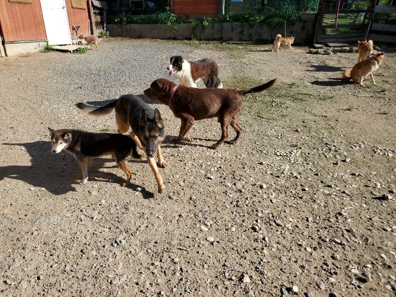 f:id:roukenhome-ann:20190909183749j:plain