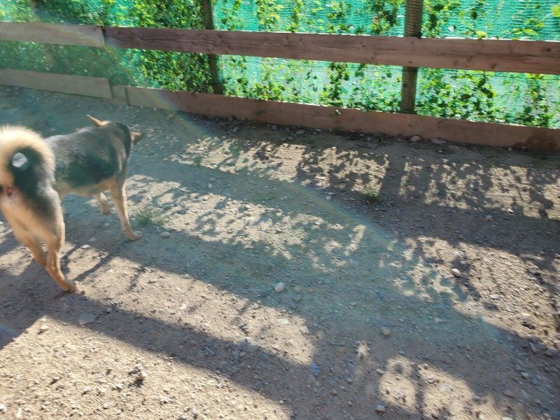 f:id:roukenhome-ann:20190909183818j:plain