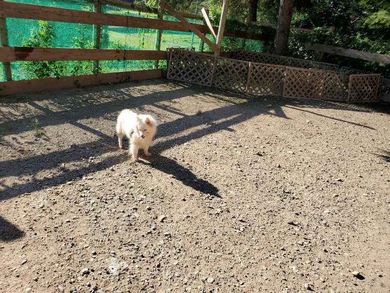 f:id:roukenhome-ann:20190909183903j:plain
