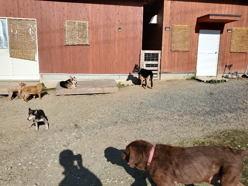 f:id:roukenhome-ann:20190909183925j:plain