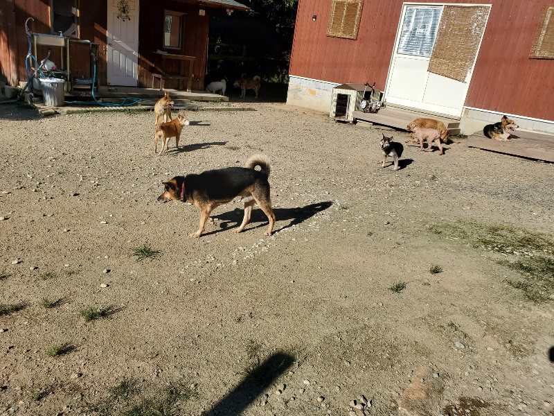 f:id:roukenhome-ann:20190909183939j:plain