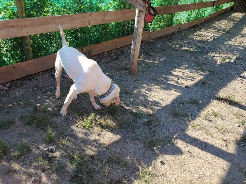 f:id:roukenhome-ann:20190909183946j:plain