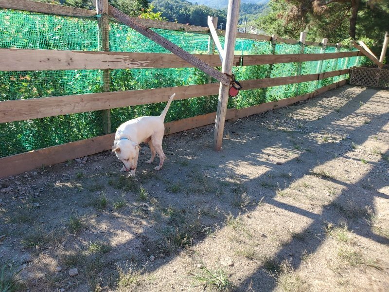 f:id:roukenhome-ann:20190909183958j:plain