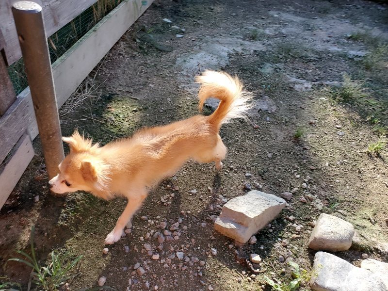 f:id:roukenhome-ann:20190909190324j:plain