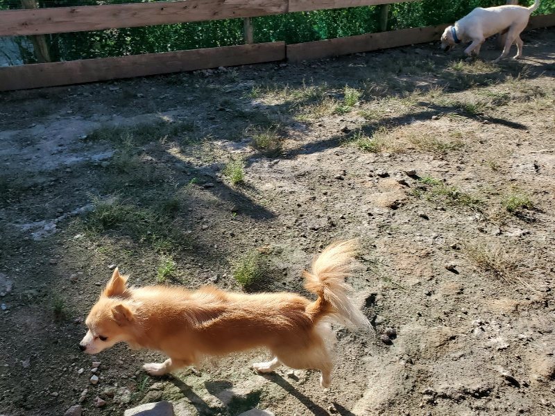 f:id:roukenhome-ann:20190909190342j:plain