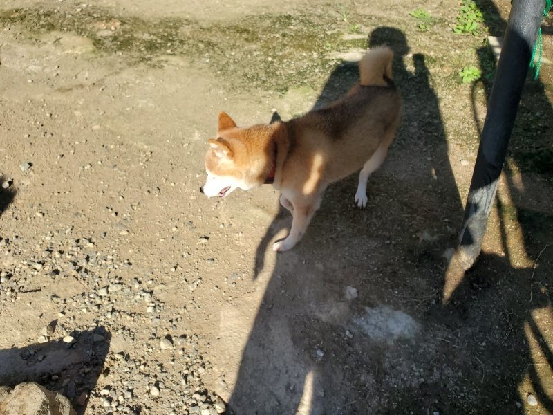 f:id:roukenhome-ann:20190909190355j:plain