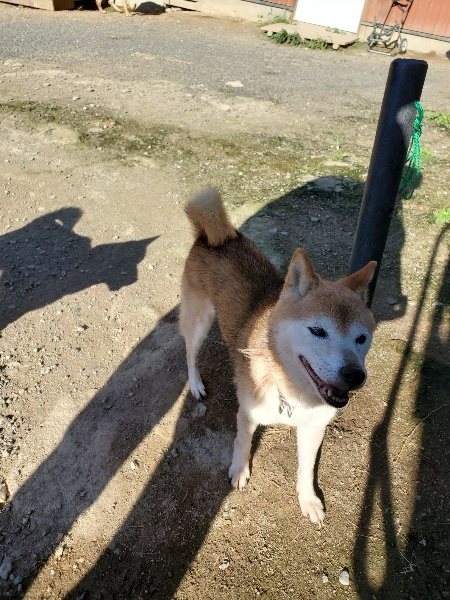 f:id:roukenhome-ann:20190909190435j:plain