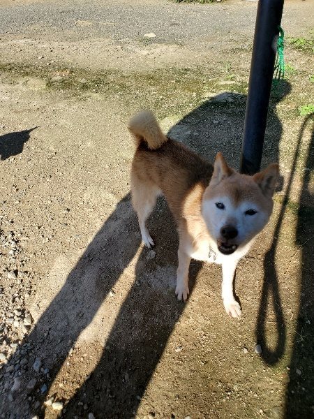 f:id:roukenhome-ann:20190909190448j:plain