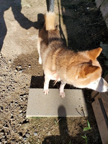 f:id:roukenhome-ann:20190909190455j:plain