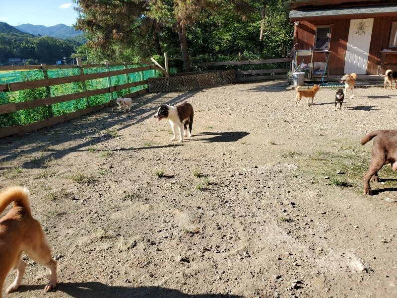 f:id:roukenhome-ann:20190909190539j:plain