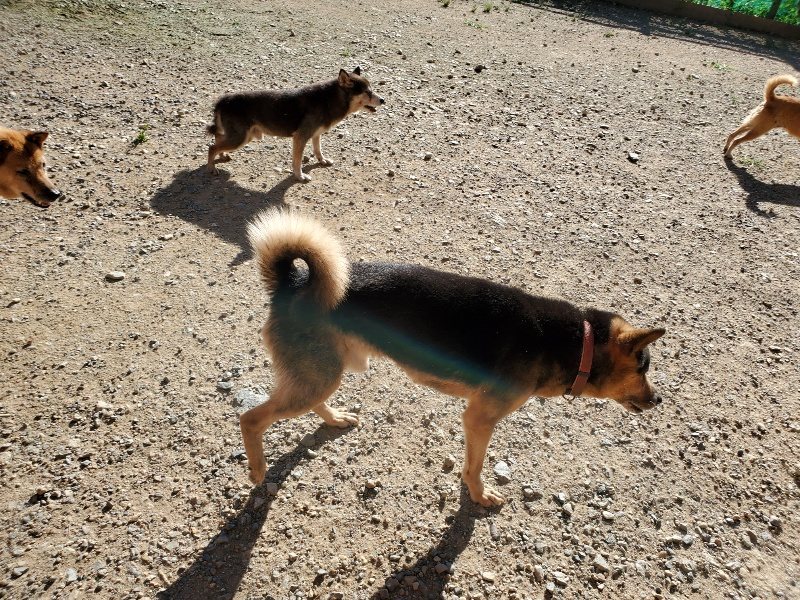 f:id:roukenhome-ann:20190909190724j:plain
