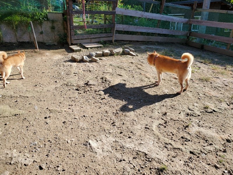 f:id:roukenhome-ann:20190909190753j:plain