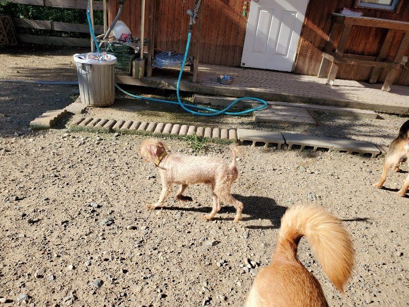 f:id:roukenhome-ann:20190909190904j:plain