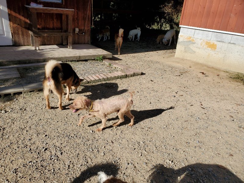 f:id:roukenhome-ann:20190909190923j:plain