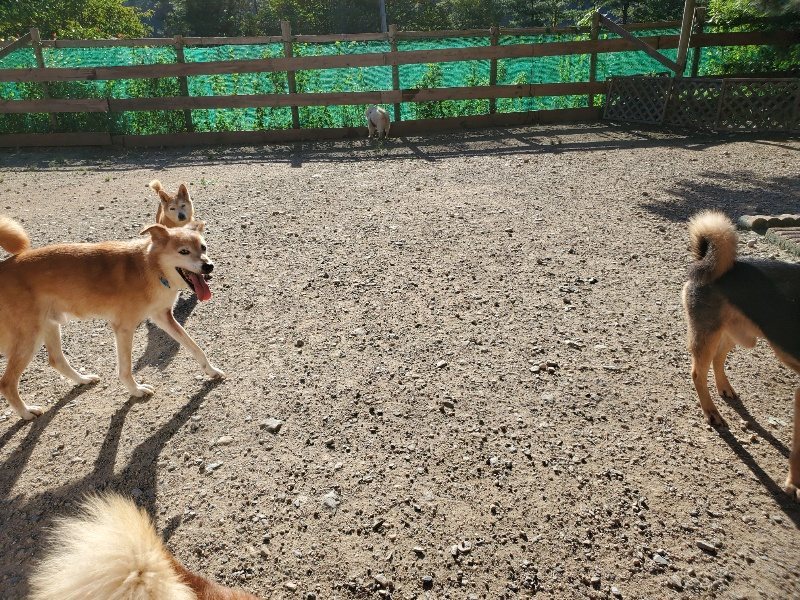 f:id:roukenhome-ann:20190909191051j:plain