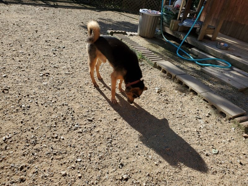 f:id:roukenhome-ann:20190909191101j:plain