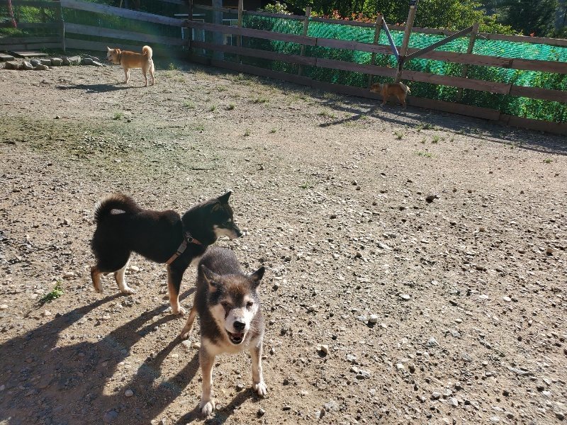 f:id:roukenhome-ann:20190909191200j:plain