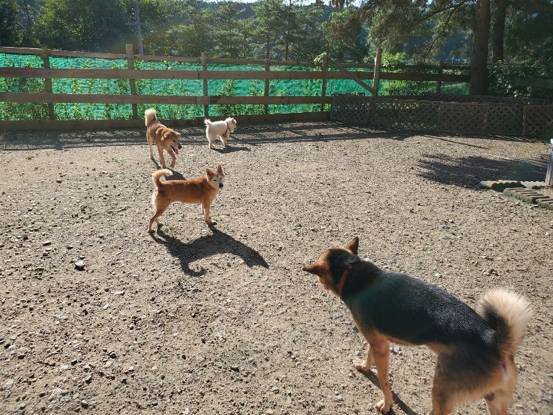 f:id:roukenhome-ann:20190909191218j:plain