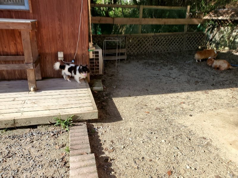 f:id:roukenhome-ann:20190909192302j:plain