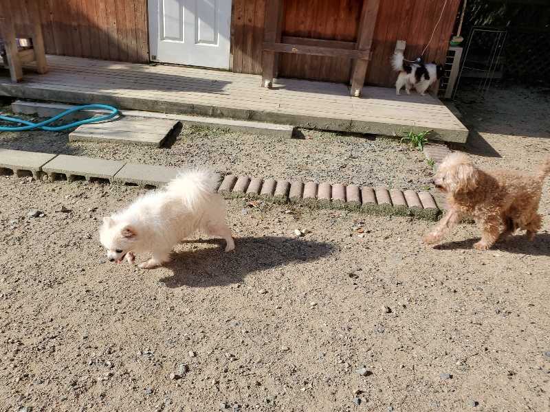 f:id:roukenhome-ann:20190909192312j:plain