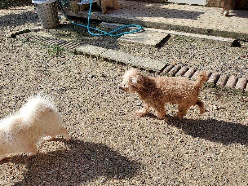 f:id:roukenhome-ann:20190909192320j:plain