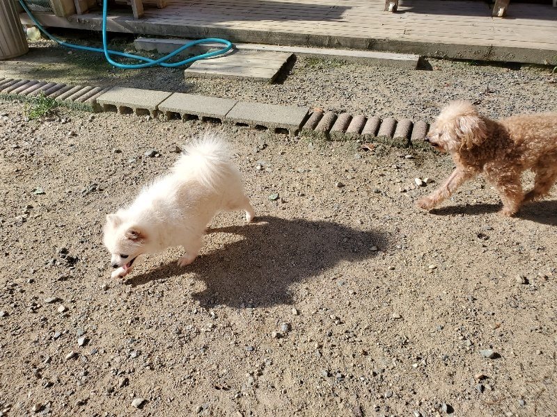 f:id:roukenhome-ann:20190909192327j:plain
