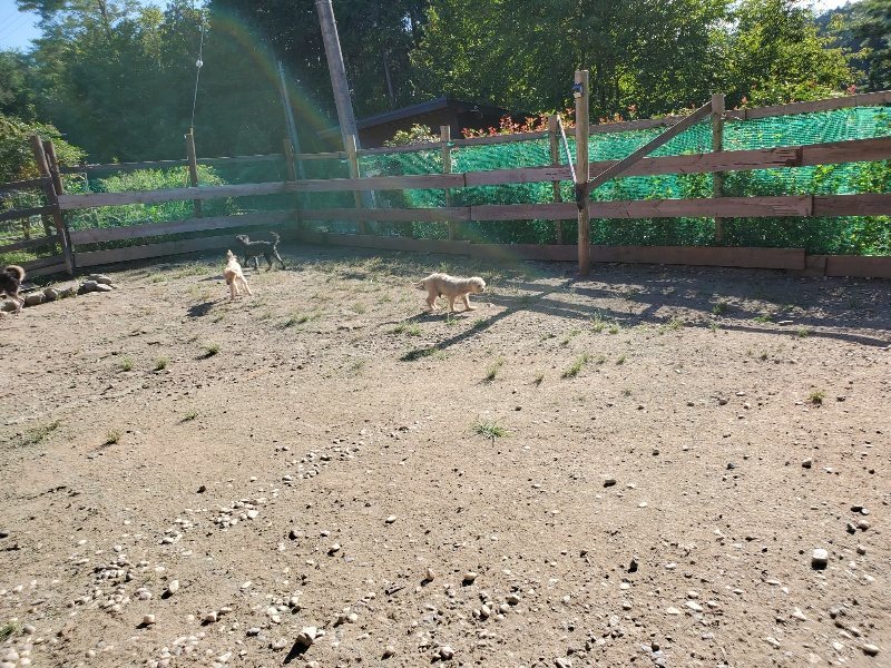 f:id:roukenhome-ann:20190909192349j:plain