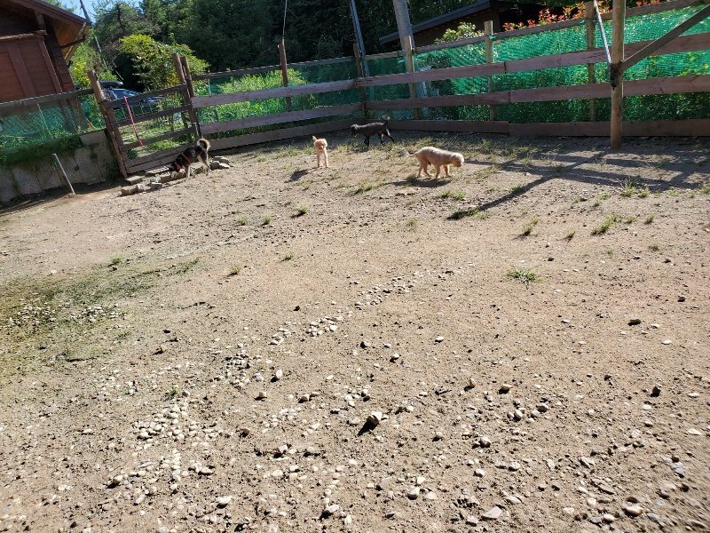 f:id:roukenhome-ann:20190909192358j:plain
