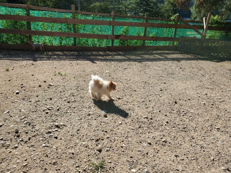 f:id:roukenhome-ann:20190909192406j:plain