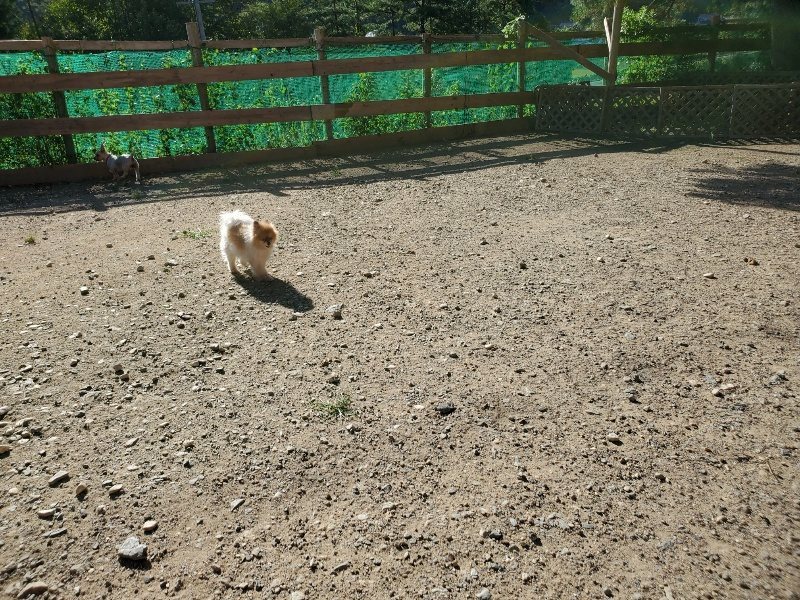 f:id:roukenhome-ann:20190909192417j:plain