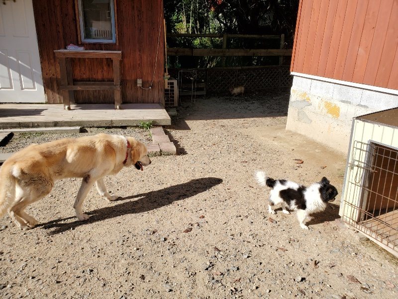 f:id:roukenhome-ann:20190909192515j:plain