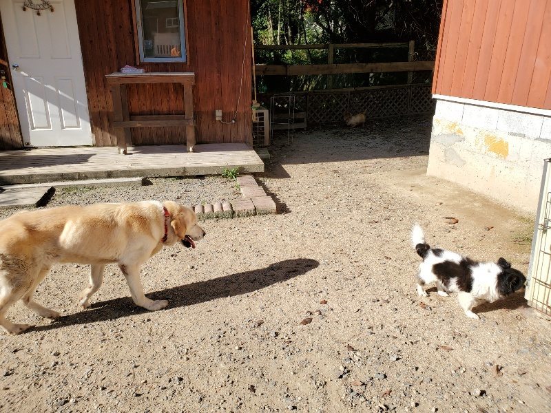 f:id:roukenhome-ann:20190909192523j:plain