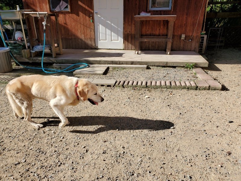 f:id:roukenhome-ann:20190909192531j:plain