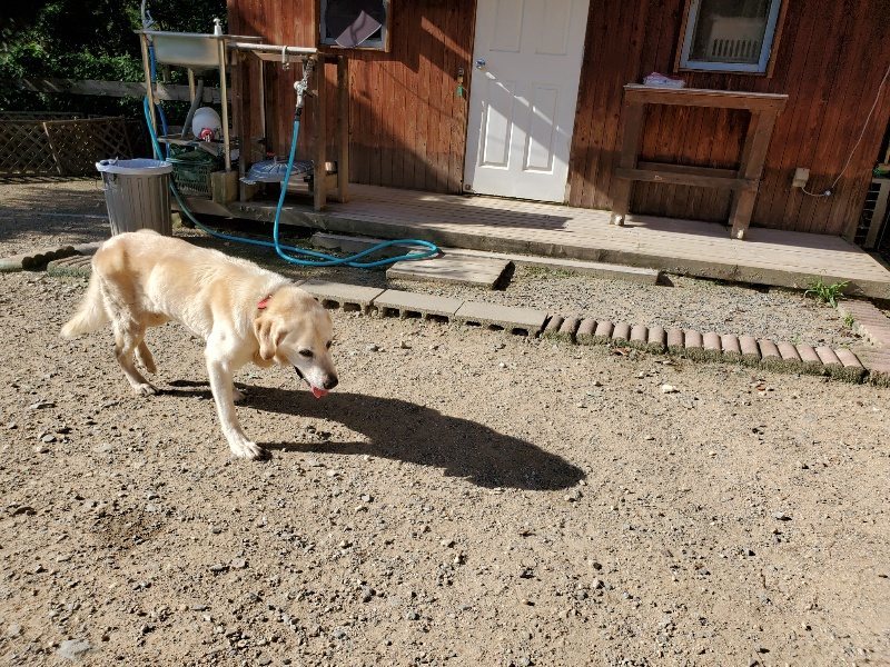 f:id:roukenhome-ann:20190909192550j:plain