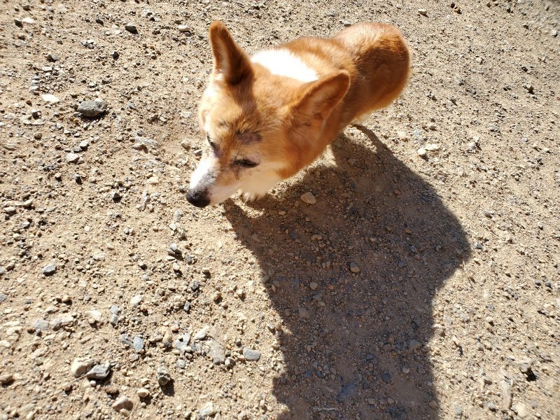 f:id:roukenhome-ann:20190909192610j:plain